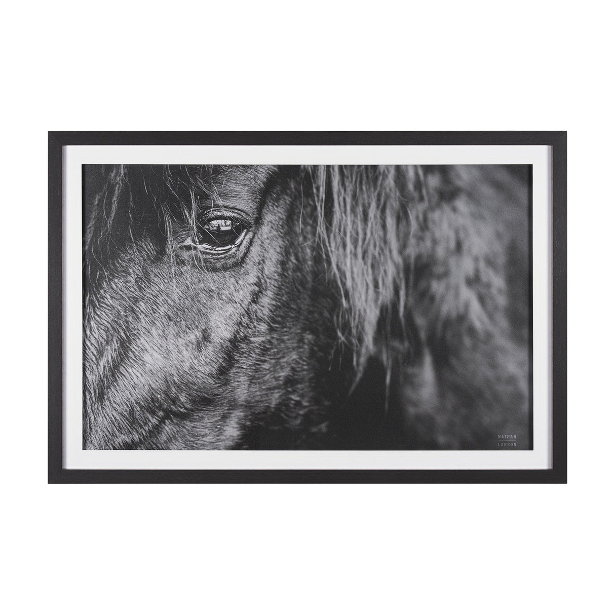 Mustang by Nathan Larson a Hand Embellished Framed Photo Art Print Matted under Glass by Mercana at Eve Furniture
