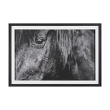 Mustang by Nathan Larson a Hand Embellished Framed Photo Art Print Matted under Glass by Mercana at Eve Furniture