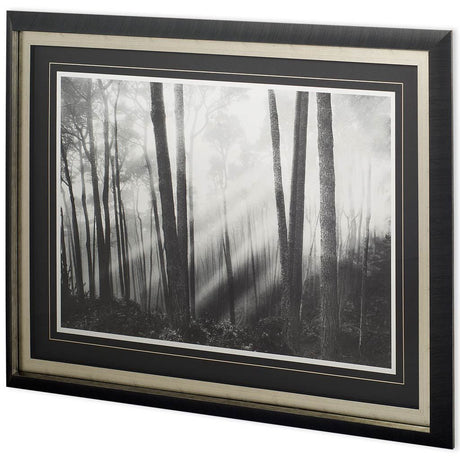 Mystical Forest & Sunbeams by Monte a Framed Photo Art Print Matted under Glass by Mercana at Eve Furniture