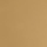 Nadia Beige/Gold Square Padded Seat Bar Stool, Set of 2 by Coaster at Eve Furniture