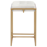 Nadia Beige/Gold Square Padded Seat Counter Height Stool, Set of 2 by Coaster at Eve Furniture