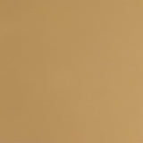 Nadia Beige/Gold Square Padded Seat Counter Height Stool, Set of 2 by Coaster at Eve Furniture