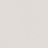 Nadia Beige/Gold Square Padded Seat Counter Height Stool, Set of 2 by Coaster at Eve Furniture