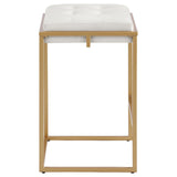 Nadia Beige/Gold Square Padded Seat Counter Height Stool, Set of 2