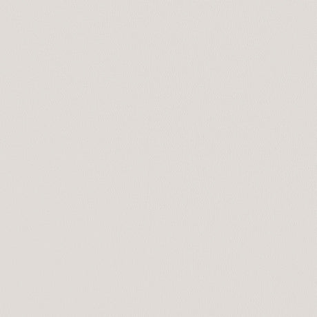 Nadia Beige/Gold Square Padded Seat Counter Height Stool, Set of 2 by Coaster at Eve Furniture