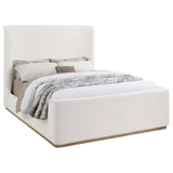 Nala Cream Upholstered Queen Wingback Platform Sleigh Bed by Coaster at Eve Furniture