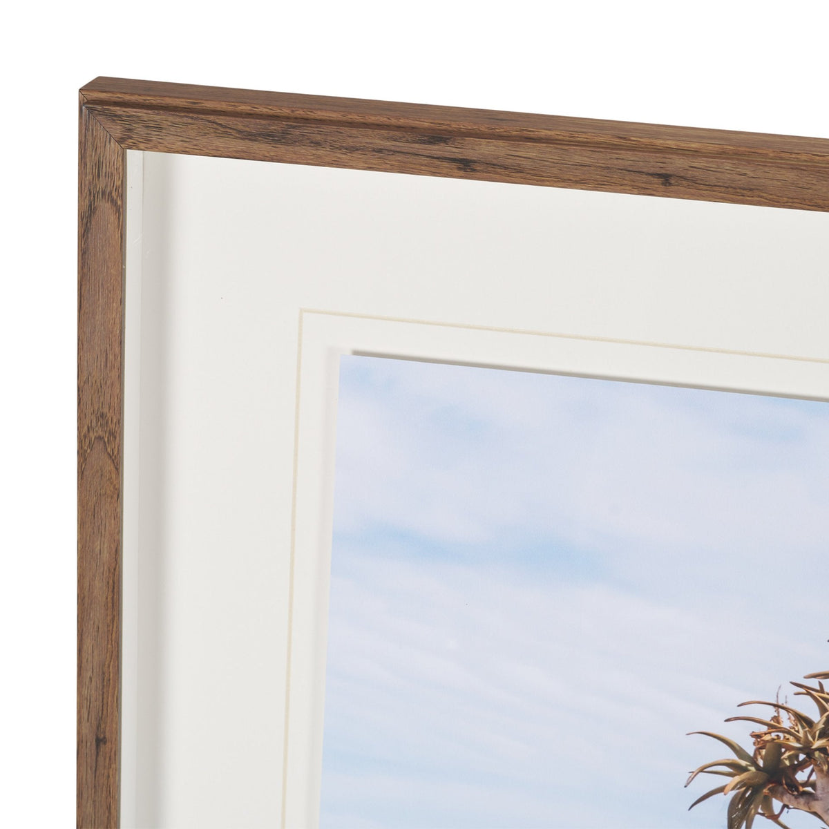 Namibia Tree in Desert by Richard Silver Textured Framed Photo Print Matted under Glass by Mercana at Eve Furniture