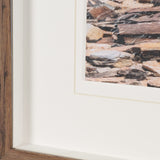 Namibia Tree in Desert by Richard Silver Textured Framed Photo Print Matted under Glass by Mercana at Eve Furniture