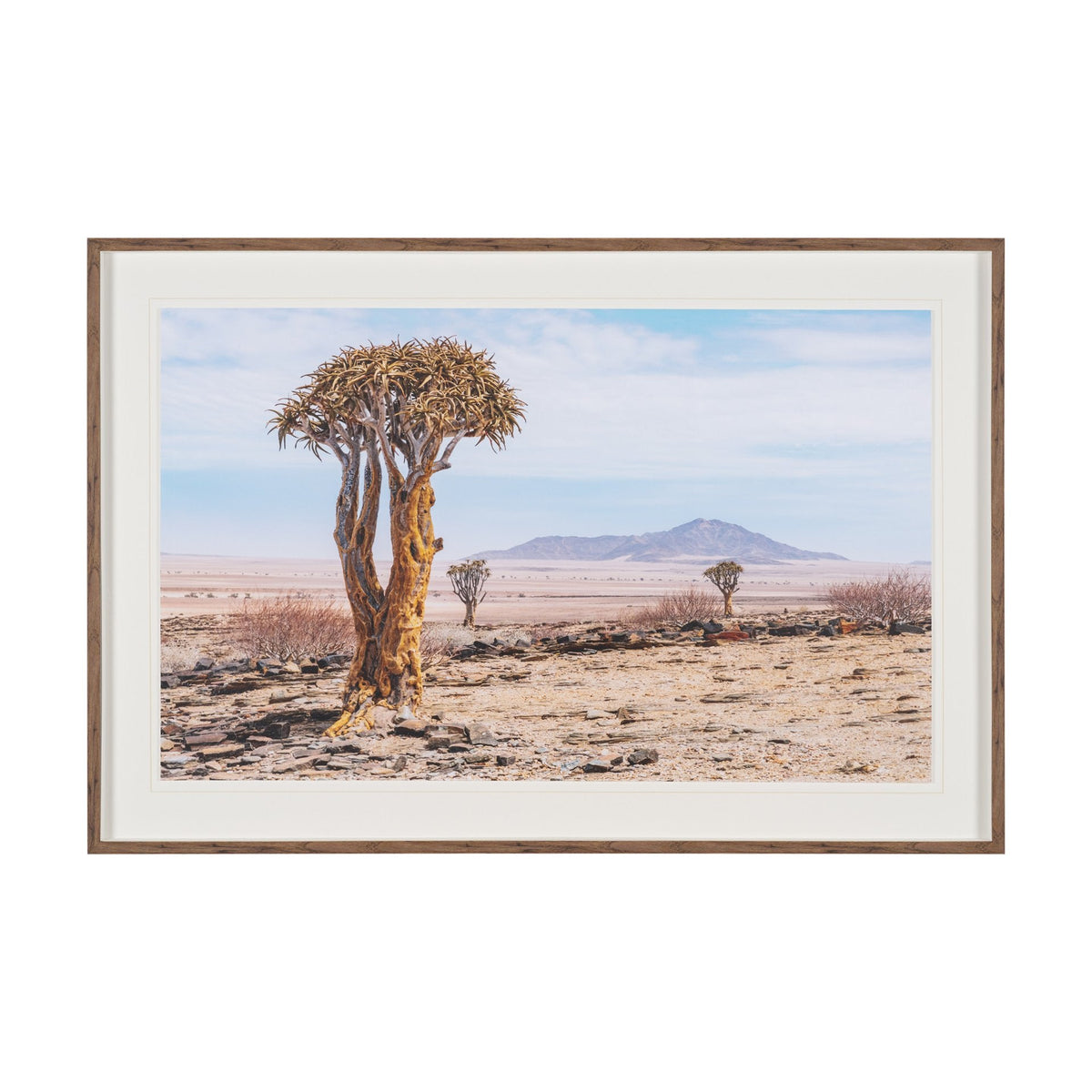Namibia Tree in Desert by Richard Silver Textured Framed Photo Print Matted under Glass by Mercana at Eve Furniture