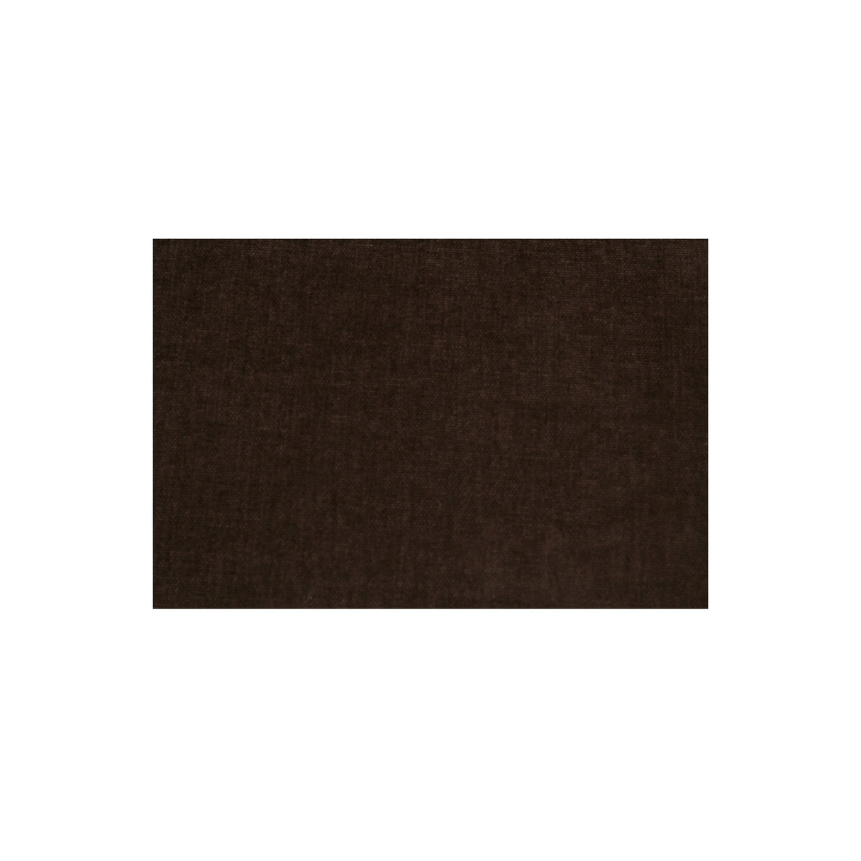 Naomi Dark Brown Concave Sofa by Moe's Home at Eve Furniture