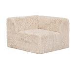 Nappi Sand Loveseat by Furniture of America at Eve Furniture