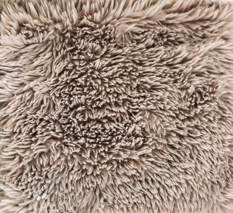 Nappi Taupe Compressed Foam Daybed by Furniture of America at Eve Furniture