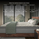 NapQueen Elite Series Machka Hybrid Mattress, Made in USA by NapQueen at Eve Furniture