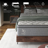 NapQueen Elite Series Machka Hybrid Mattress, Made in USA by NapQueen at Eve Furniture