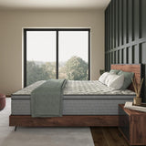 NapQueen Elite Series Machka Hybrid Mattress, Made in USA by NapQueen at Eve Furniture