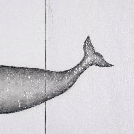 Narwhal by Mercana Studio a Hand Embellished Textured Canvas by Mercana at Eve Furniture