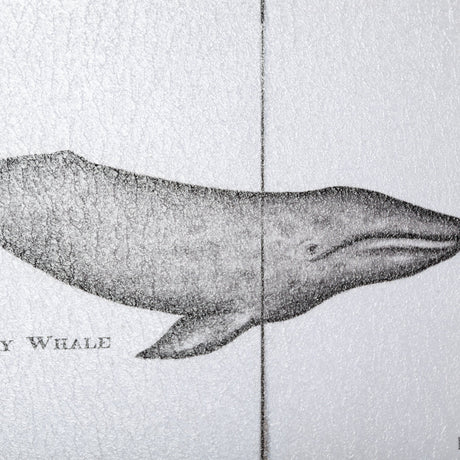 Narwhal by Mercana Studio a Hand Embellished Textured Framed Art Print by Mercana at Eve Furniture