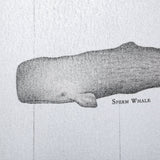 Narwhal by Mercana Studio a Hand Embellished Textured Framed Art Print by Mercana at Eve Furniture