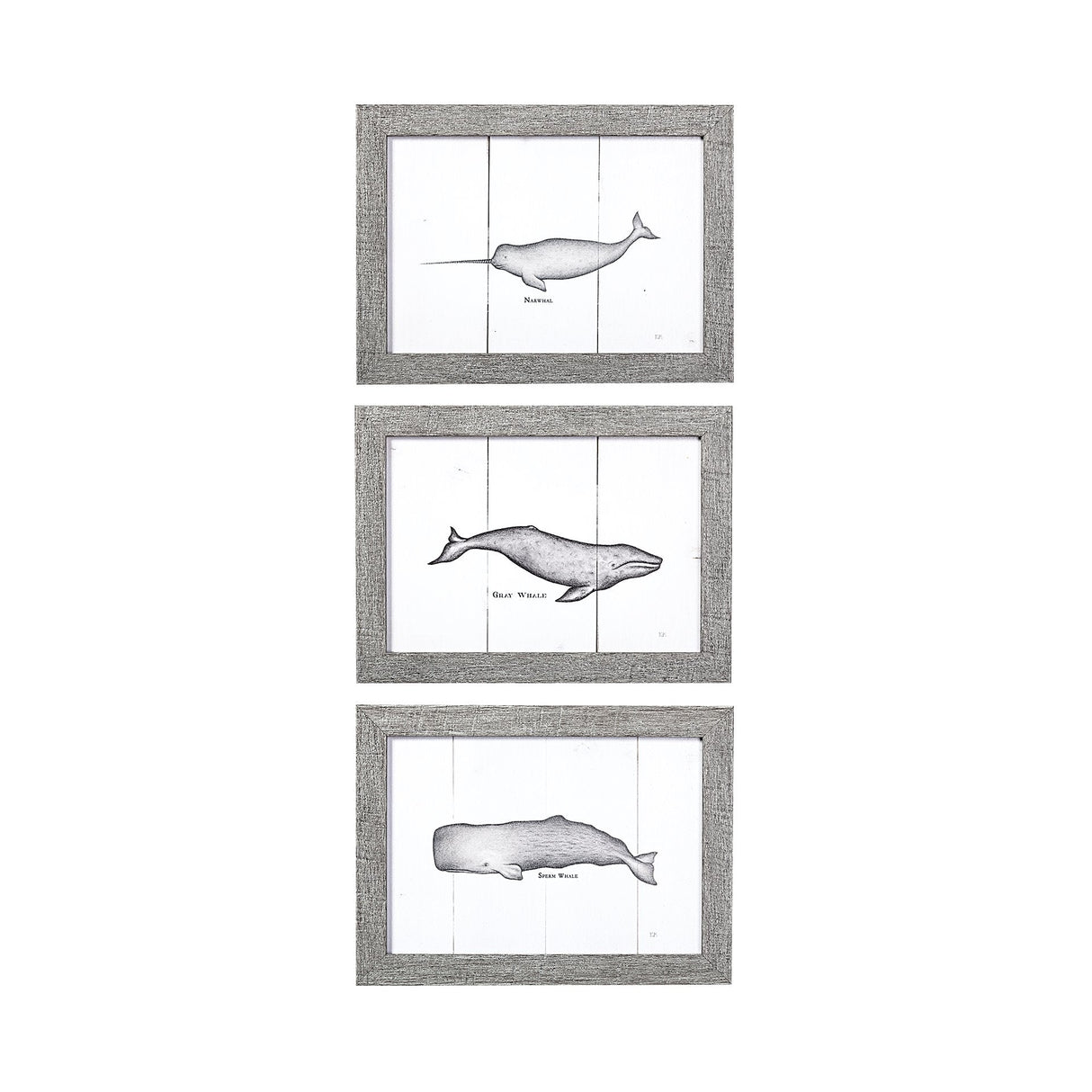 Narwhal by Mercana Studio a Hand Embellished Textured Framed Art Print by Mercana at Eve Furniture