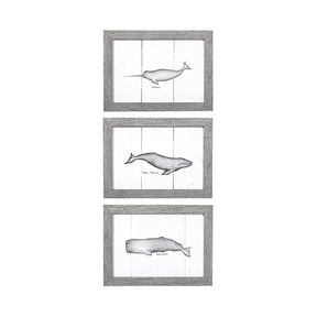 Narwhal by Mercana Studio a Hand Embellished Textured Framed Art Print by Mercana at Eve Furniture