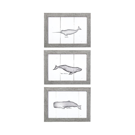 Narwhal by Mercana Studio a Hand Embellished Textured Framed Art Print by Mercana at Eve Furniture
