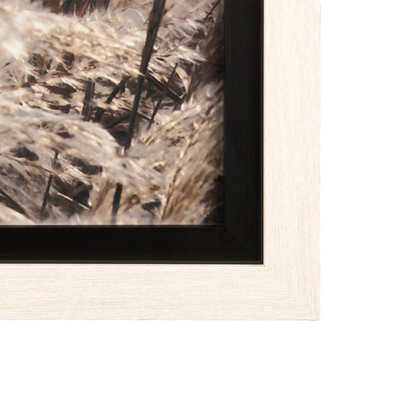 Nature's Melody by Mercana Studio a Framed Photo Art Print Matted under Glass by Mercana at Eve Furniture