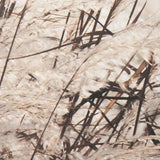Nature's Melody by Mercana Studio a Framed Photo Art Print Matted under Glass by Mercana at Eve Furniture