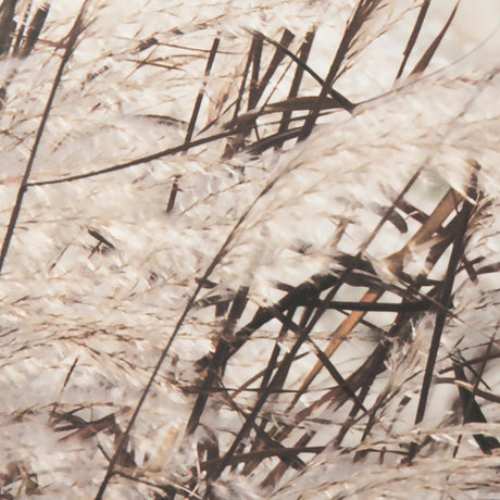 Nature's Melody by Mercana Studio a Framed Photo Art Print Matted under Glass by Mercana at Eve Furniture