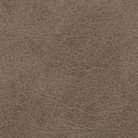 Navi Fossil Queen Sofa Sleeper by Ashley at Eve Furniture