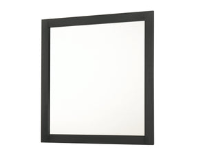 Nemy Brown/Black Dresser Top (Mirror Only) by Crown Mark at Eve Furniture