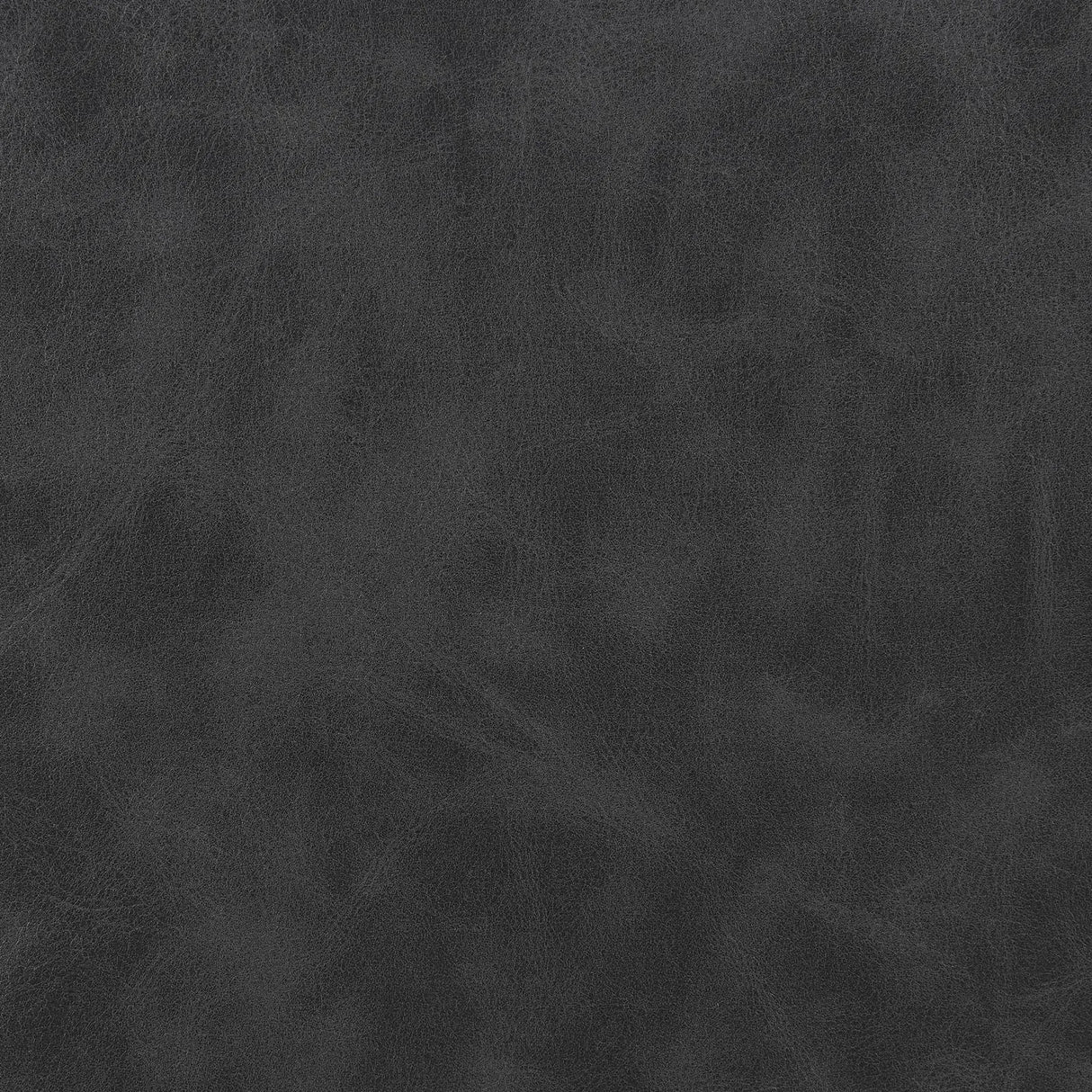 Nerris Gray/Black Adjustable Height Office Chair with Padded Arm by Coaster at Eve Furniture