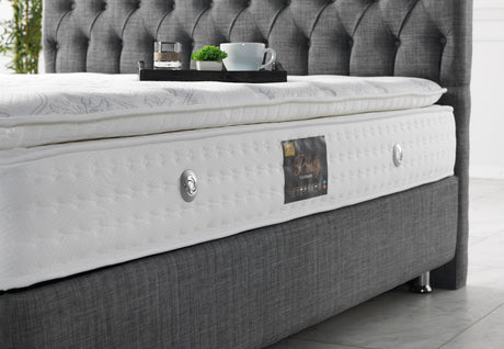 Nevada Storage Bed With Headboard Grey by Furnia at Eve Furniture