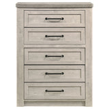 Nevado Grey / Weathered Taupe Chest by Coaster at Eve Furniture