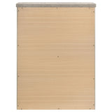 Nevado Grey / Weathered Taupe Chest by Coaster at Eve Furniture