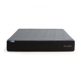 Neve Coolsync Gray Twin XL Mattress by Malouf at Eve Furniture