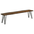 Neve Sheesham Gray/Gunmetal Live-edge Dining Bench with Hairpin Legs by Coaster at Eve Furniture