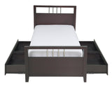 Nevis Eastern King Platform Storage Bed in Espresso by Modus Furniture at Eve Furniture