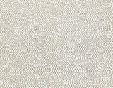 Nicco Side Chair Bucket Seat, Eggshell Fabric by Steve Silver at Eve Furniture