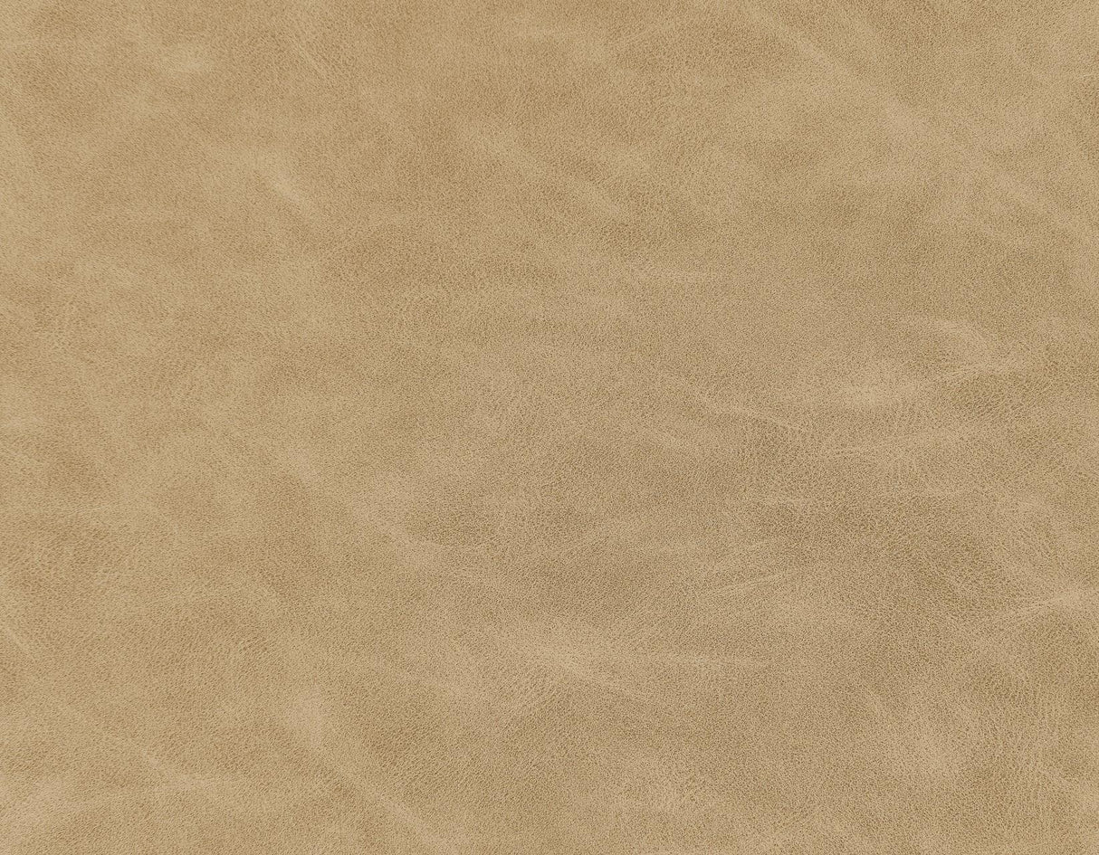 Nicco 20″ Side Chair, Sand Vegan Leather Fabric by Steve Silver at Eve Furniture