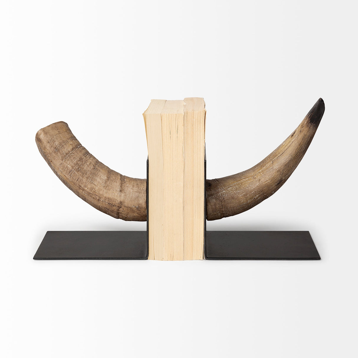 Nickerson (Set of 2) 6L x 7W Bull Horn Bookends by Mercana at Eve Furniture