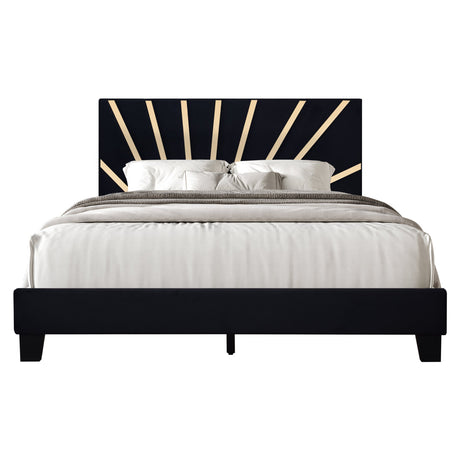 Nico Black Queen Platform Bed by Happy Homes at Eve Furniture