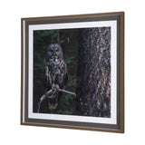 Night Owl by Chad Mackay a Hand Embellished Textured Framed Photo Art Print Matted under Glass by Mercana at Eve Furniture