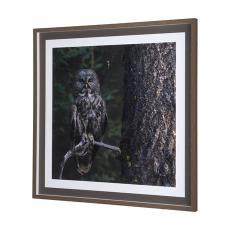 Night Owl by Chad Mackay a Hand Embellished Textured Framed Photo Art Print Matted under Glass by Mercana at Eve Furniture