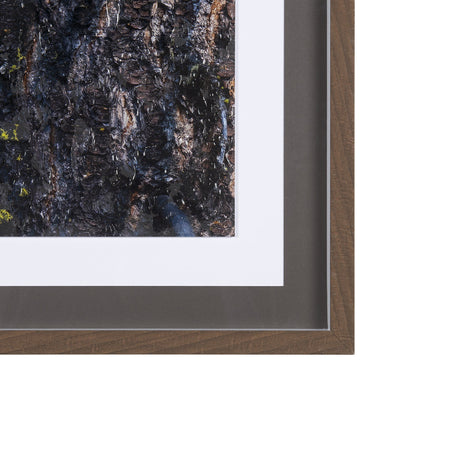 Night Owl by Chad Mackay a Hand Embellished Textured Framed Photo Art Print Matted under Glass by Mercana at Eve Furniture