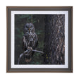 Night Owl by Chad Mackay a Hand Embellished Textured Framed Photo Art Print Matted under Glass by Mercana at Eve Furniture