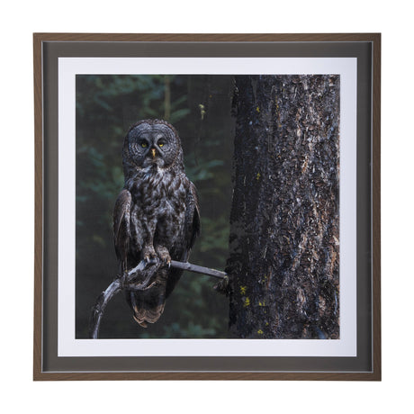 Night Owl by Chad Mackay a Hand Embellished Textured Framed Photo Art Print Matted under Glass by Mercana at Eve Furniture