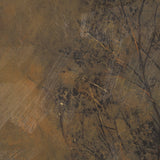 Nights Sky I by Mercana Studio a Hand Embellished Decograph Framed Art Print by Mercana at Eve Furniture