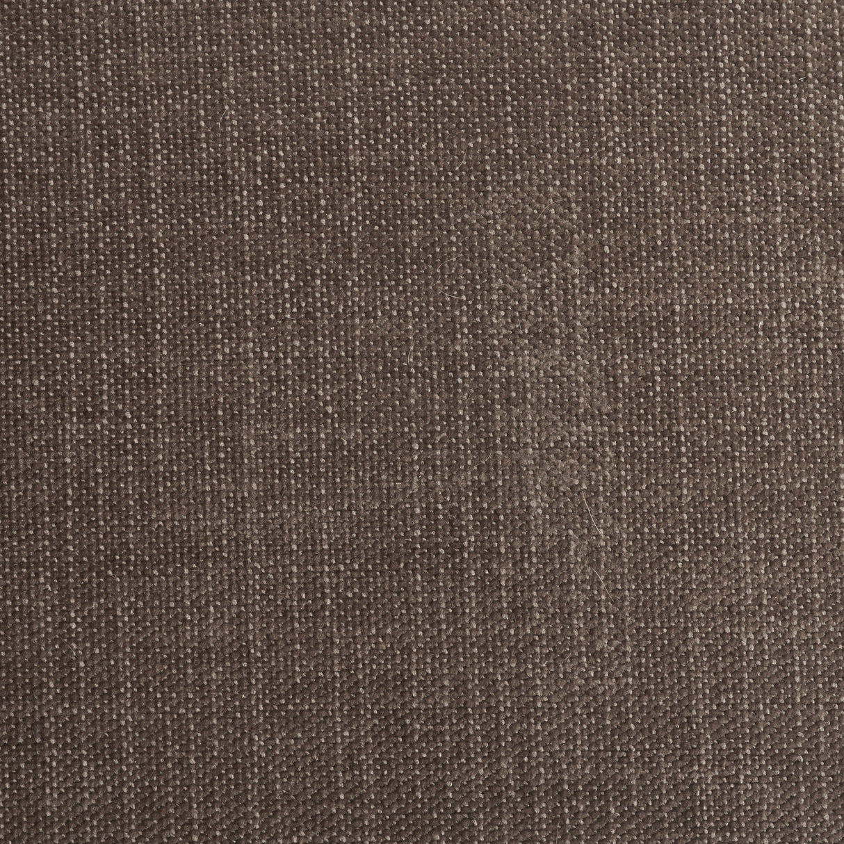 Niles Brown Fabric W/ Dark Brown Wooden Legs Wingback Dining Chair by Mercana at Eve Furniture