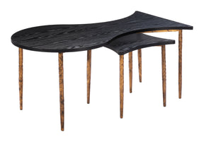 Norden Black & Bronze Coffee Table Set (2-Piece) by Zuomod at Eve Furniture