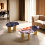 Northwich Black/Gray/Matte Gold Coffee Table by Furniture of America at Eve Furniture